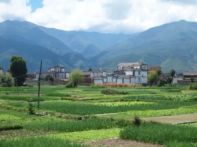 Rijstvelden Xizhou bij Dali